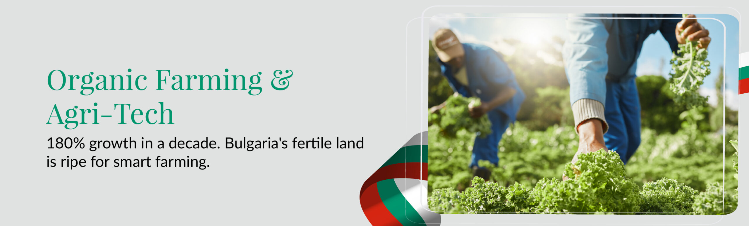 Organic farming and agritech banner